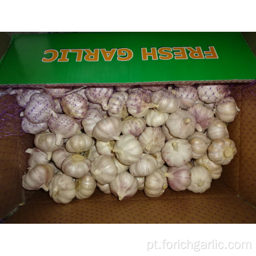 Alho branco normal fresco de alta qualidade 5,0 cm